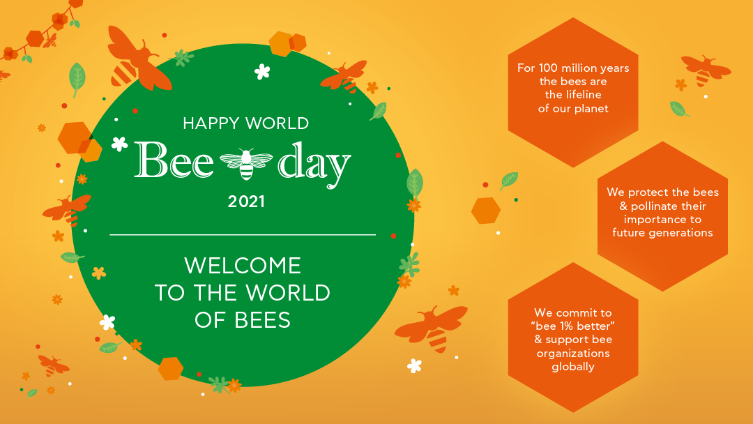 World Bee Day The Apivita Day